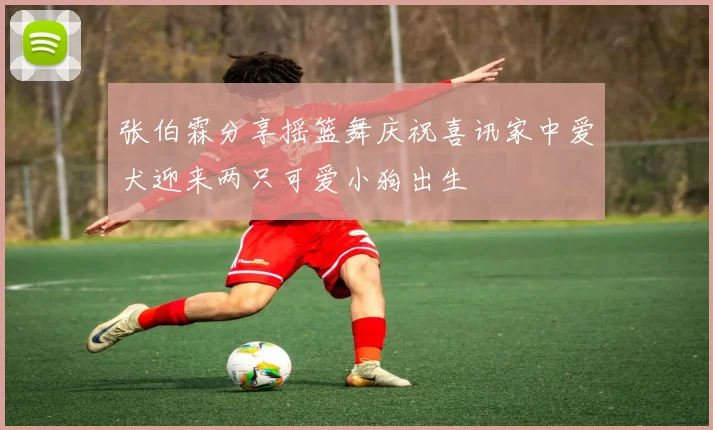 张伯霖分享摇篮舞庆祝喜讯家中爱犬迎来两只可爱小狗出生